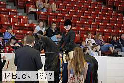 14buck_4673 proof
