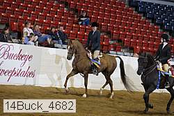 14buck_4682 proof