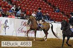 14buck_4683 proof