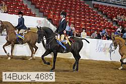 14buck_4685 proof