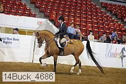 14buck_4686 proof