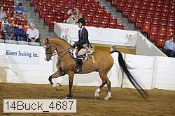 14buck_4687 proof