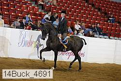 14buck_4691 proof