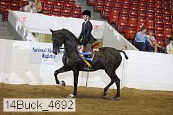 14buck_4692 proof