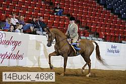 14buck_4696 proof