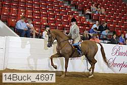 14buck_4697 proof