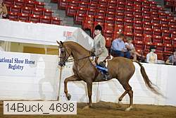 14buck_4698 proof