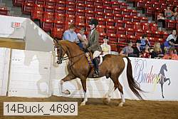 14buck_4699 proof