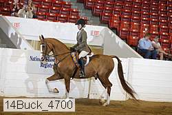 14buck_4700 proof
