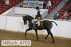 14buck_4703 proof