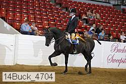 14buck_4704 proof