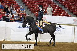 14buck_4705 proof