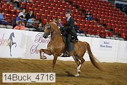 14buck_4716 proof