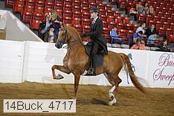 14buck_4717 proof