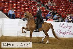 14buck_4721 proof