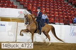 14buck_4722 proof