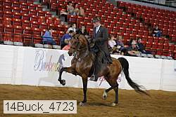 14buck_4723 proof