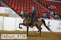14buck_4724 proof