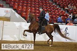 14buck_4727 proof