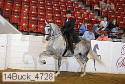 14buck_4728 proof