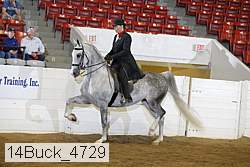 14buck_4729 proof