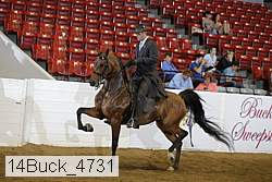 14buck_4731 proof