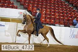 14buck_4732 proof