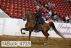 14buck_4733 proof