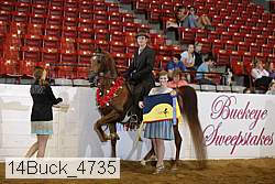 14buck_4735 proof