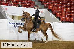 14buck_4740 proof