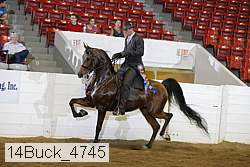 14buck_4745 proof