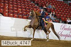 14buck_4747 proof