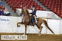 14buck_4748 proof