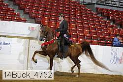 14buck_4752 proof