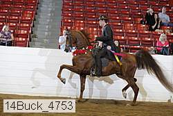 14buck_4753 proof