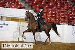 14buck_4757 proof