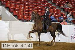14buck_4759 proof