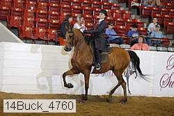 14buck_4760 proof