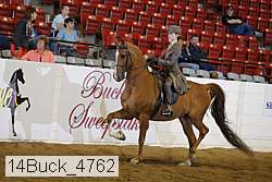 14buck_4762 proof