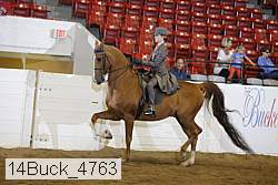 14buck_4763 proof