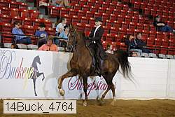 14buck_4764 proof