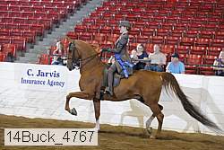 14buck_4767 proof