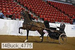 14buck_4775 proof