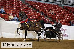 14buck_4776 proof