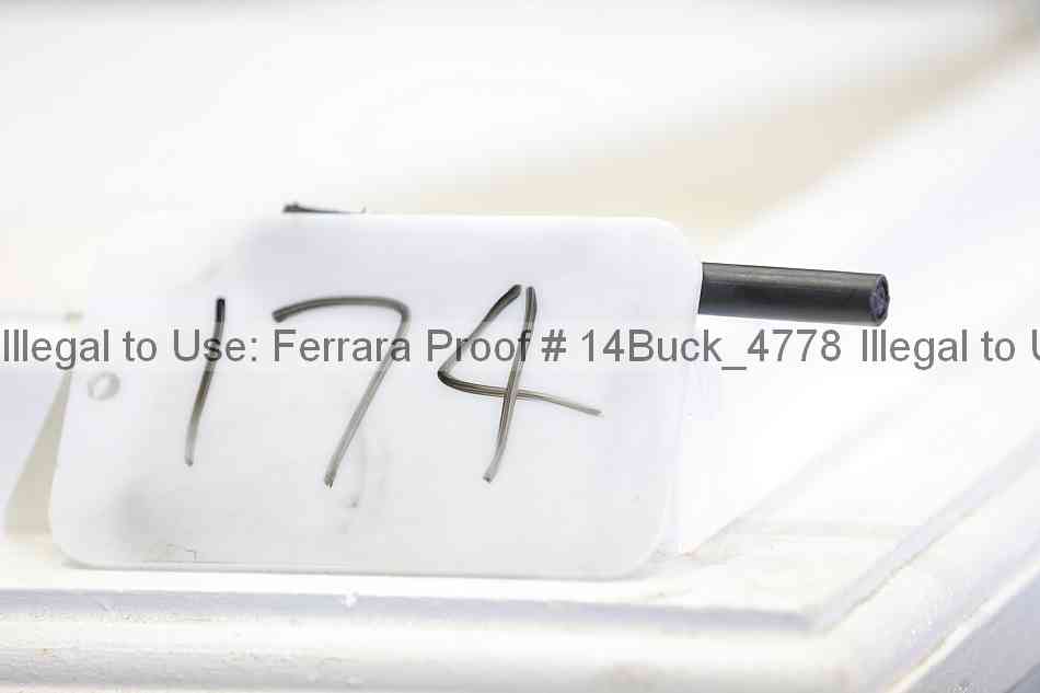 Proof 14buck_4778