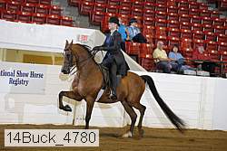 14buck_4780 proof
