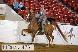 14buck_4781 proof