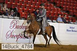 14buck_4784 proof