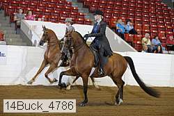 14buck_4786 proof