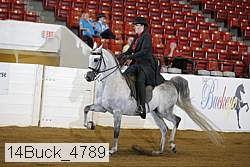 14buck_4789 proof